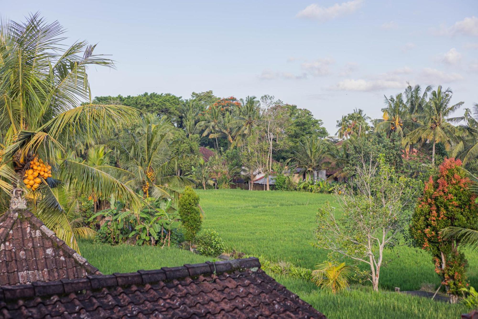 Sari Bamboo Bungalows ウブド 部屋 写真